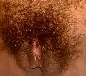 hairy latina bush 1733437621