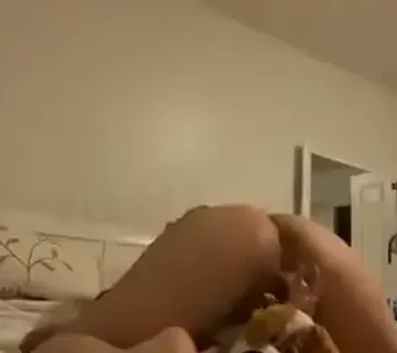 humping dog toy 1733437900